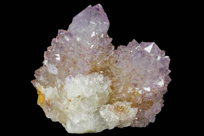 Cactus Quartz (Amethyst) Crystal Cluster - South Africa #132486